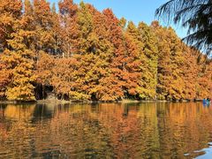 -上海海湾国家森林公园