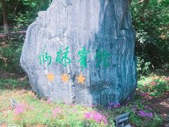 -仙林宾馆-餐厅