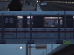 -海堤纪念公园