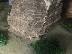 -延庆地质公园博物馆