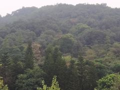-云溪植物园