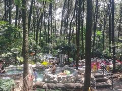 -金方森林温泉