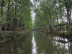 -合肥滨湖国家森林公园