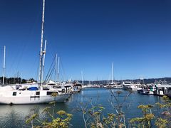 -香港东海海鲜酒家