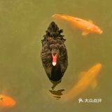 森林公园二刷