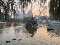 -团结湖公园
