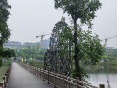 -枫香湖儿童公园