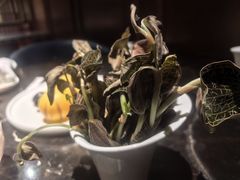 -半岛翡丽海鲜自助餐厅(观风亭店)