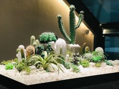 景观位-大树餐厅(红旗街万达店)