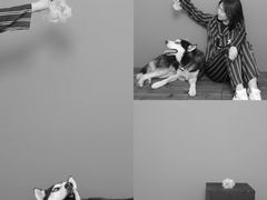 -PHOTOWITH 自助照相馆