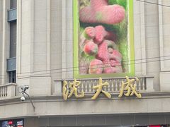 -沈大成(南京东路店)