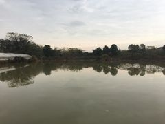 -武汉开心果园农业发展有限公司