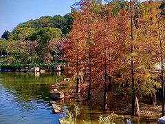 -广州市帽峰山景区