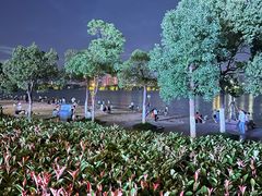 -天鹅湖体育公园