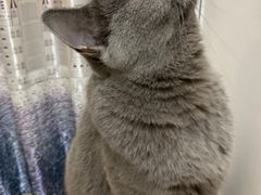 -爱诺耐芙动物医院(万博店)