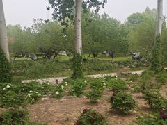 -济南植物园