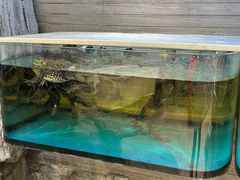 -金海湾海鲜总店