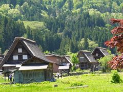 -白川乡与五箇山的合掌构造村落