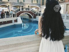 -澳门威尼斯人综合度假区