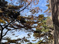 -黄山风景区