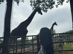 -大连森林动物园