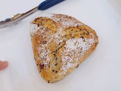 全麦芝麻红豆面包-都恩客(高岛屋百货店)