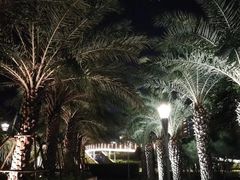 -海沧湾公园