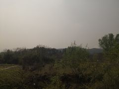 -素山寺森林公园