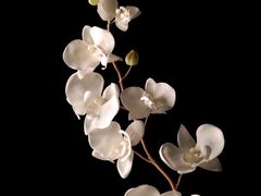 -山水人家(九堡店)