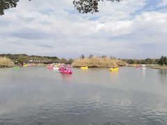 -沙家浜风景区
