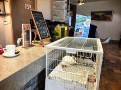 -泰康之家·锦绣府