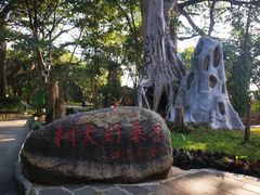 -瑞丽独树成林风景区