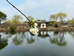 -无锡蠡湖国家湿地公园-蠡园