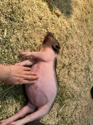 -Zoolung Zoolung动物主题公园(海信广场店)