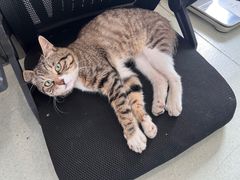 -中田健身工作室(嘉定江桥店)