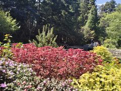 -庐山风景区花径公园