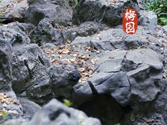-梅园
