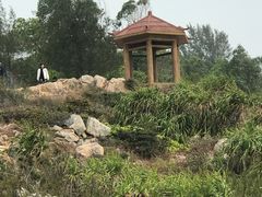 -广东惠东海龟国家级自然保护区