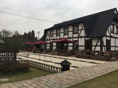 -金山农民画村-枫泾波兰倒置屋