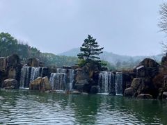-白马涧龙池景区