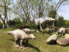 -上海海湾国家森林公园