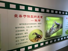 -上海昆虫博物馆