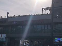 -武汉关码头(轮渡站)