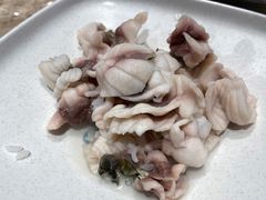 脆肉鲩鱼片-淘米捞·米汤脆鲩鱼火锅(福田皇岗店)
