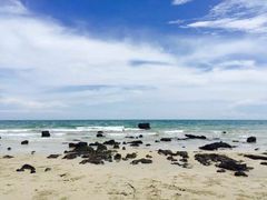 -鑫港隆休闲会所(海燕·玉兰花园店)