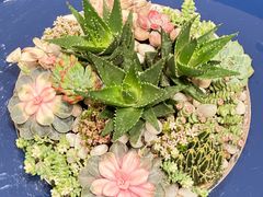 -梨媛花艺设计