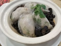 石锅鱼茸角-点都德(北京路贰店)