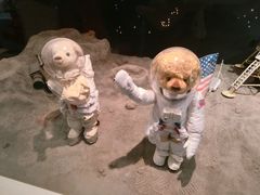 -济州岛泰迪熊博物馆