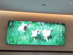-乡里八闽·福州乡土菜(高宅店)