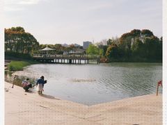 -新江湾城公园